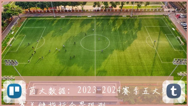 绿茵大数据：2023-2024赛季五大联赛关键指标全景观测