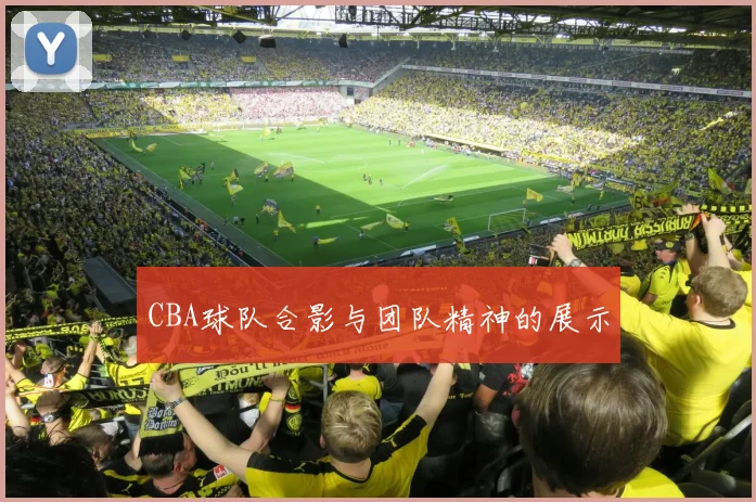 CBA球队合影与团队精神的展示