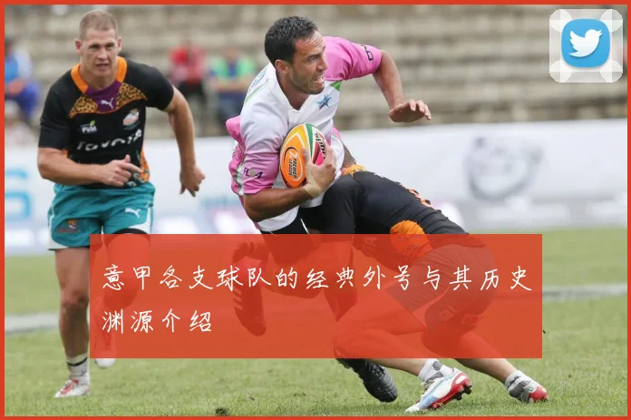 意甲各支球队的经典外号与其历史渊源介绍