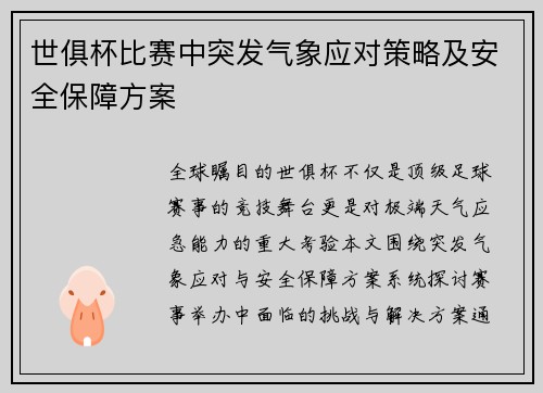 世俱杯比赛中突发气象应对策略及安全保障方案